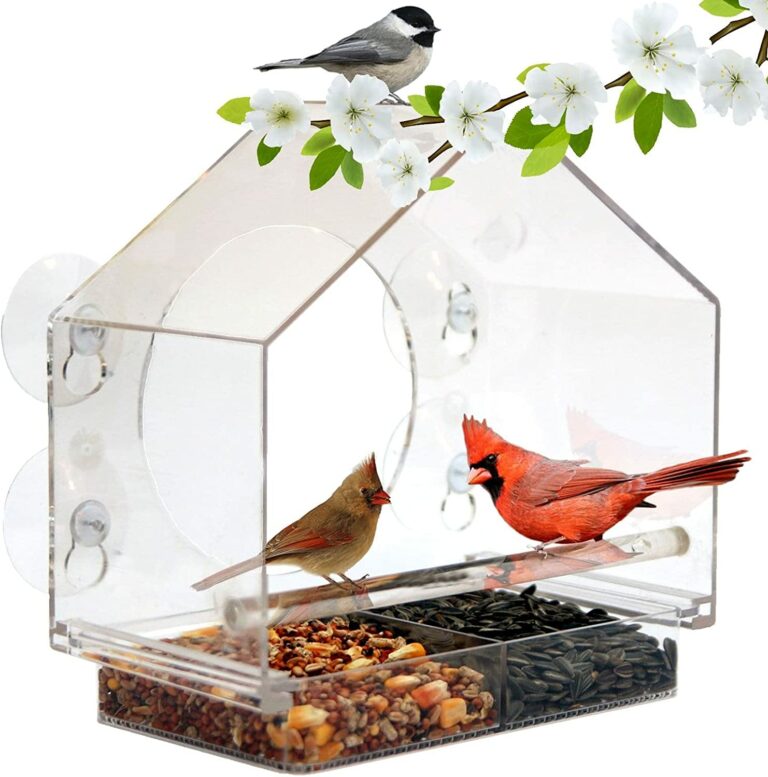 Window Bird Feeder
