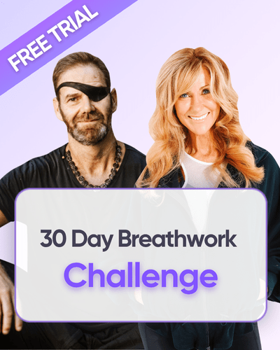 The Inner Radiance System